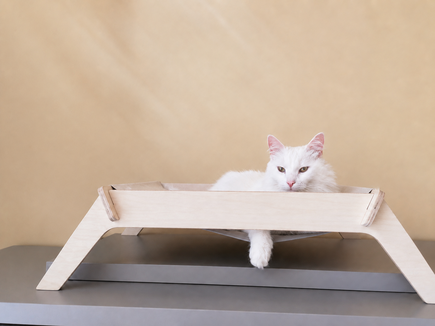 Elevated Wooden Cat Bed